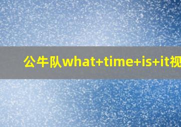 公牛队what time is it视频